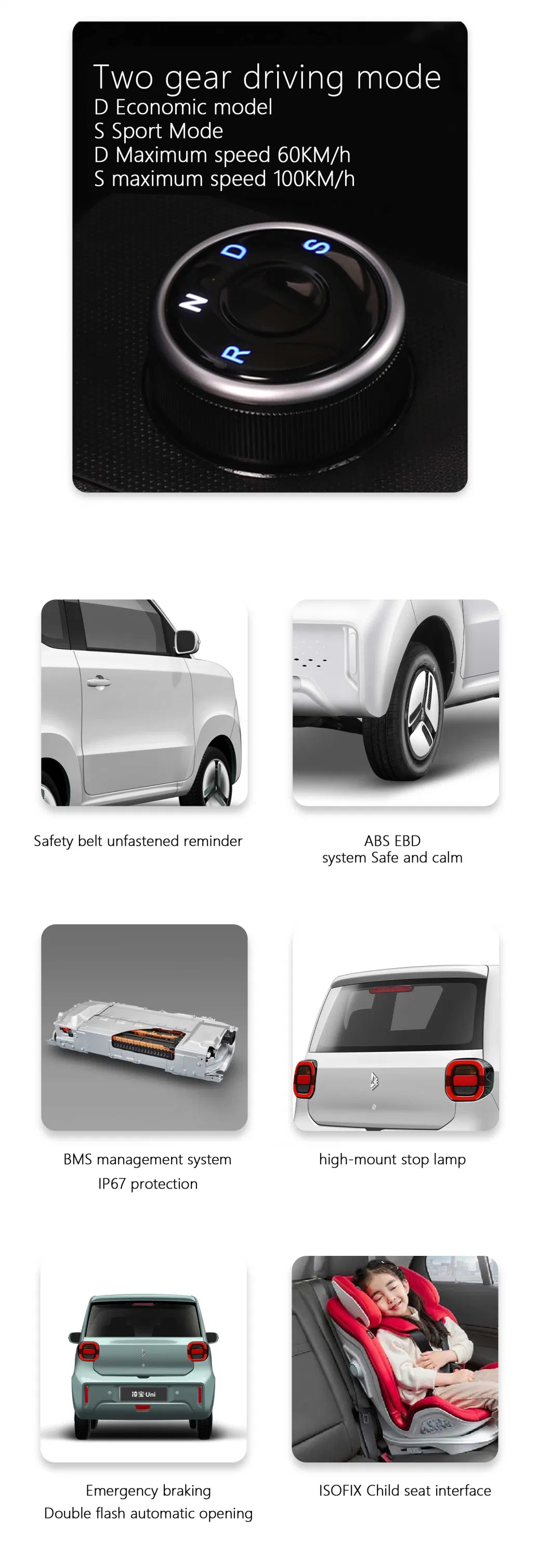 American Market 2seats Electric Car