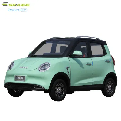 米国市場向け EEC 搭載 Saige ハイモーター E カー